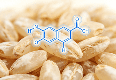 Reinforcing the Dermal Barrier: The Bio-Science of Rice Bran Ceramide