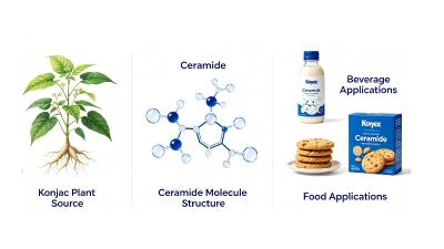 Development of Konjac-Derived Ceramides and Their Applications in Beverages and Foods