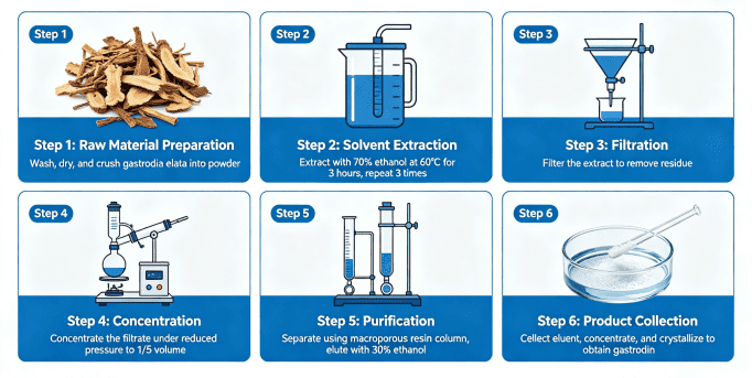 Gastrodin Extraction and Purification Method
