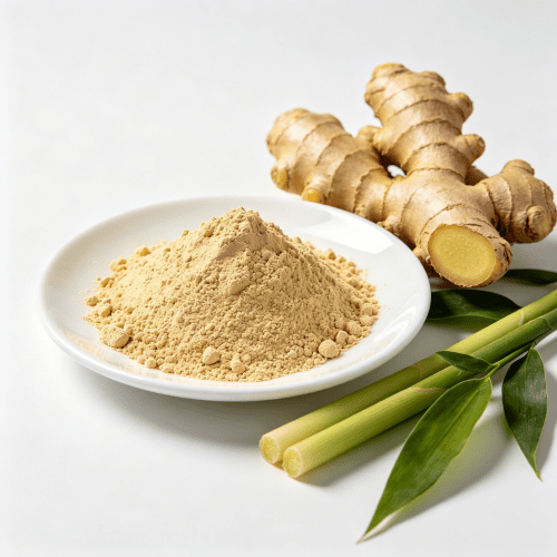 Why Digestive Formulas Rely on Premium Ginger Extract