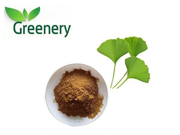 Ginkgo Biloba Extract