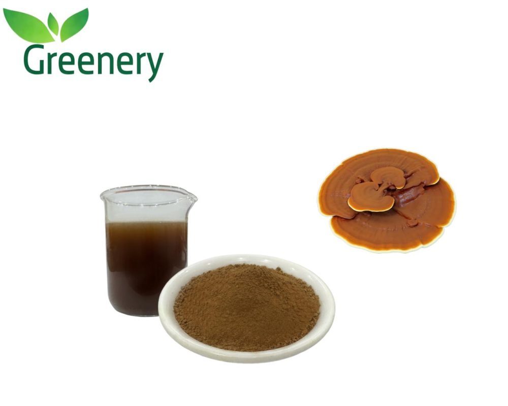 Reishi Powder