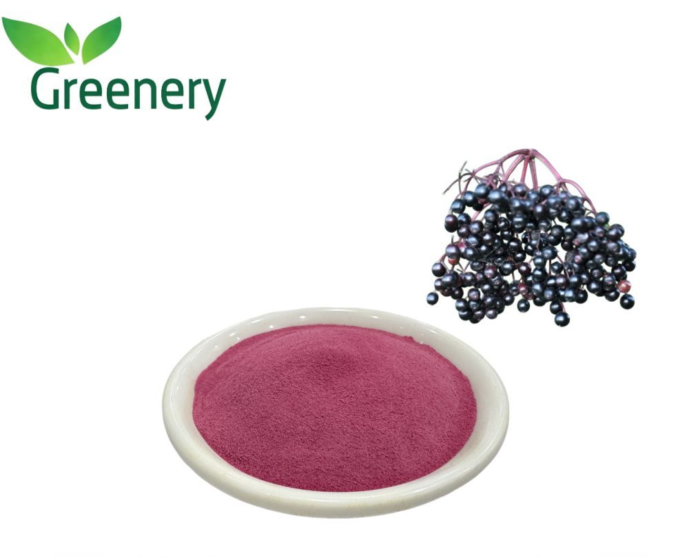 Elderberry Fruit Powder