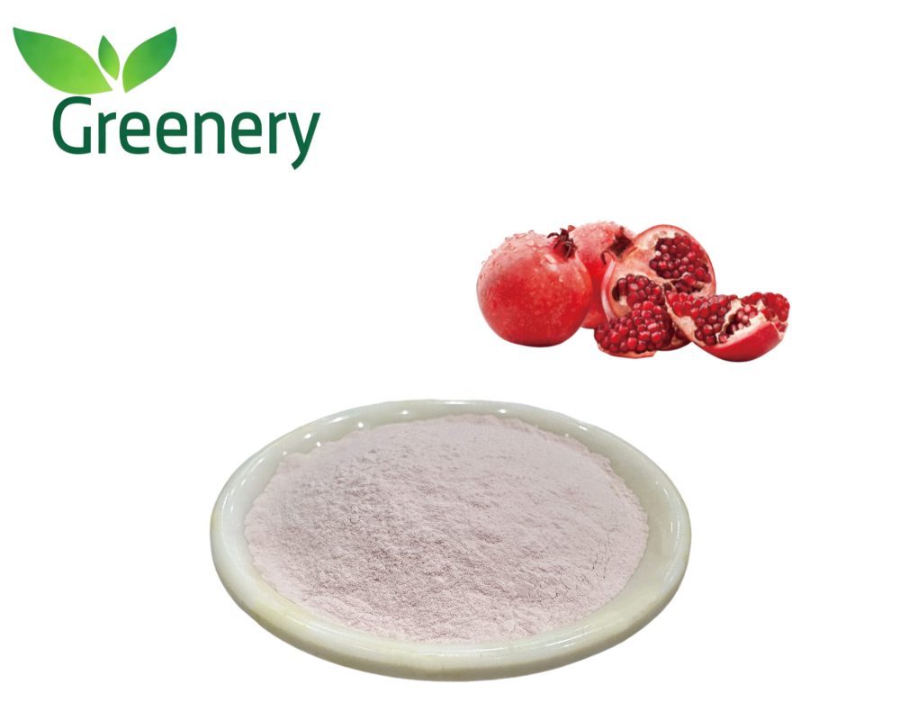 Pomegranate Juice Powder