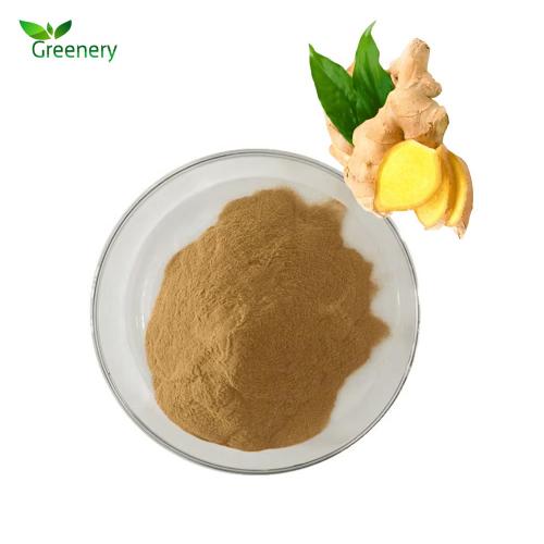 Ginger Extract Powder